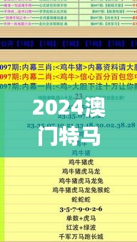 2024澳门特马今晚开奖49图,经典解答解释定义_X4.926