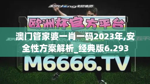 澳门管家婆一肖一码2023年,安全性方案解析_经典版6.293