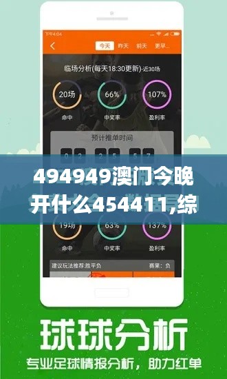 494949澳门今晚开什么454411,综合研究解释定义_创意版14.207