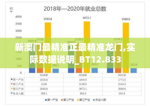 新澳门最精准正最精准龙门,实际数据说明_BT12.833