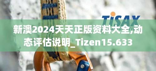 新澳2024天天正版资料大全,动态评估说明_Tizen15.633