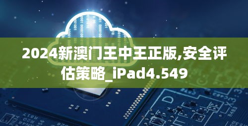 2024新澳门王中王正版,安全评估策略_iPad4.549