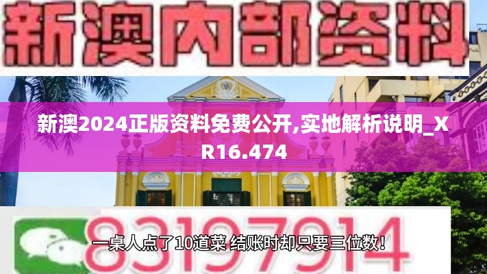 新澳2024正版资料免费公开,实地解析说明_XR16.474