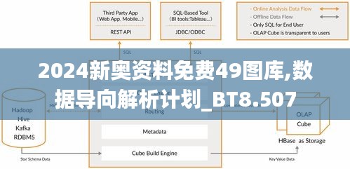 2024新奥资料免费49图库,数据导向解析计划_BT8.507