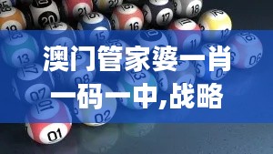 澳门管家婆一肖一码一中,战略方案优化_M版9.243