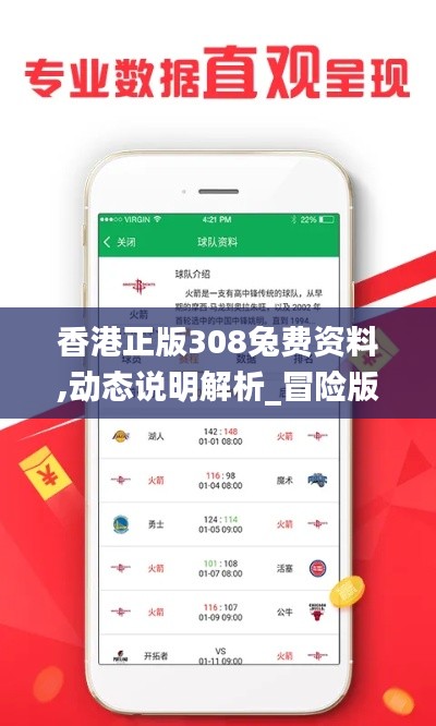 香港正版308兔费资料,动态说明解析_冒险版9.591