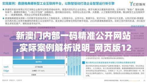 新澳门内部一码精准公开网站,实际案例解析说明_网页版12.319