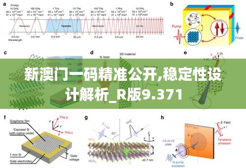 新澳门一码精准公开,稳定性设计解析_R版9.371