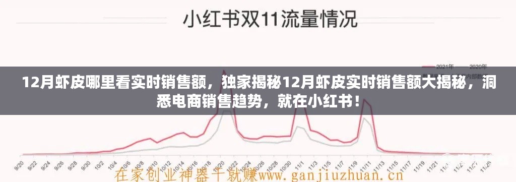 独家揭秘，小红书上虾皮12月实时销售额洞悉电商销售趋势