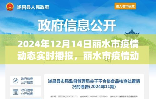 丽水市疫情动态实时播报，聚焦2024年12月14日数据更新