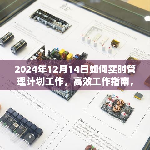 2024年12月14日精准实时工作计划管理指南，高效工作，实现精准管理