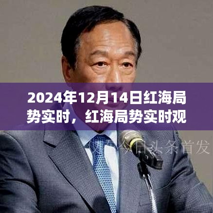 2024年12月14日红海局势深度观察与实时报告