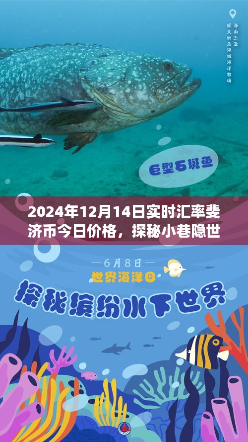 探秘小巷隐世特色小店，揭秘斐济币今日价格与奇妙之旅（实时汇率更新）