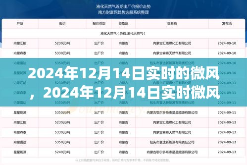 实时微风拥抱变化，自信成就梦想，2024年12月14日实时更新