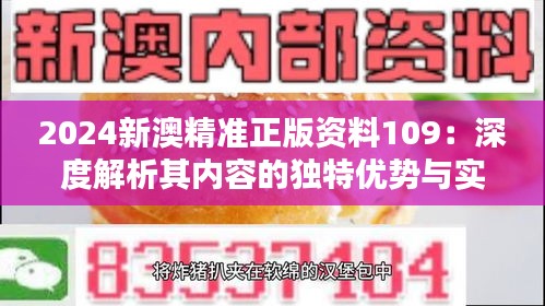 2024新澳精准正版资料109：深度解析其内容的独特优势与实用价值