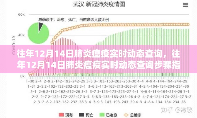 往年12月14日肺炎瘟疫实时动态查询，步骤指南与实时更新