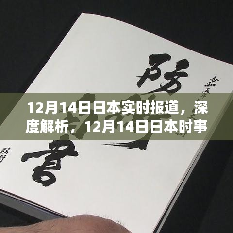 深度解析，日本时事报道三大要点（12月14日实时报道）