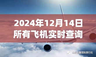 探秘小巷深处的宝藏，揭秘2024年飞机实时查询软件之旅