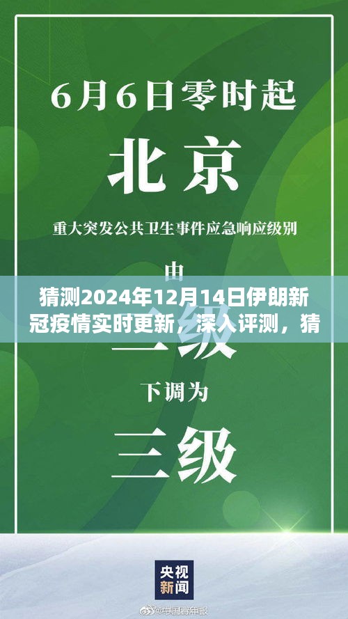 独家解析，预测与全面分析伊朗新冠疫情实时更新，至2024年12月14日