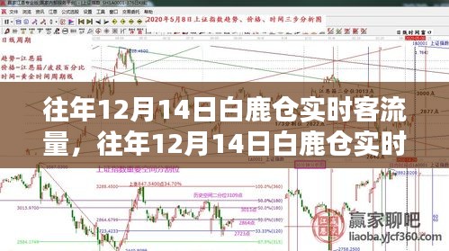 白鹿仓历年12月14日实时客流量深度分析与探讨，观点阐述与探讨新视角