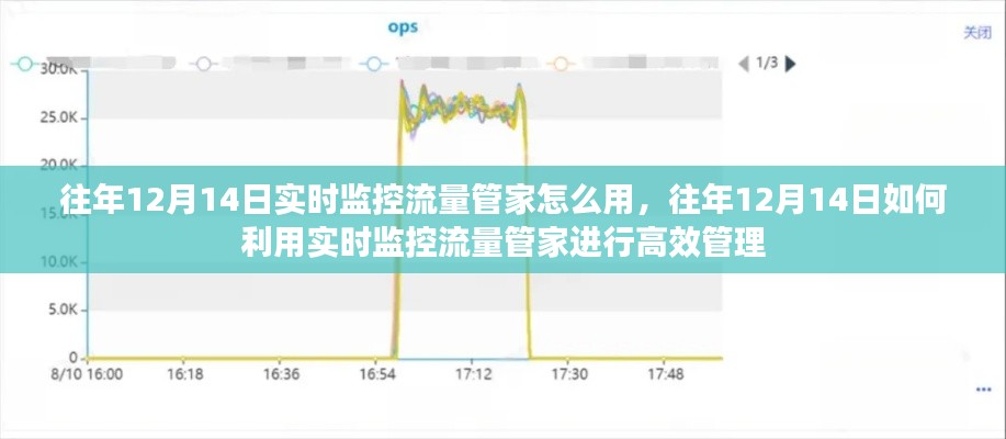 往年12月14日实时监控流量管家的高效使用指南