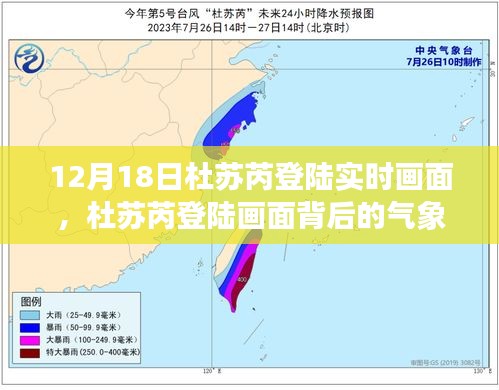 杜苏芮登陆实时画面及背后的气象解读与公众关注视角分析