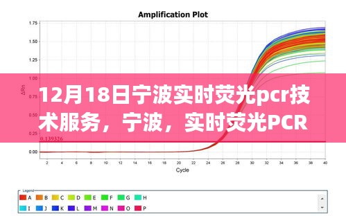 宁波实时荧光PCR技术服务，先锋探索引领未来，深远影响铸就传奇