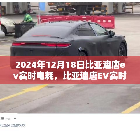 比亚迪唐EV实时电耗深度解析与观点探讨，深度分析比亚迪唐EV电耗性能表现与未来展望