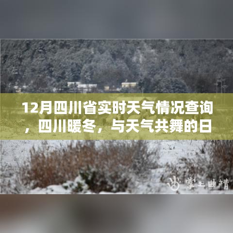 四川暖冬实时天气查询，与天气共舞的日子