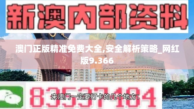 澳门正版精准免费大全,安全解析策略_网红版9.366