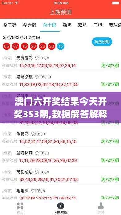 澳门六开奖结果今天开奖353期,数据解答解释定义_理财版3.373