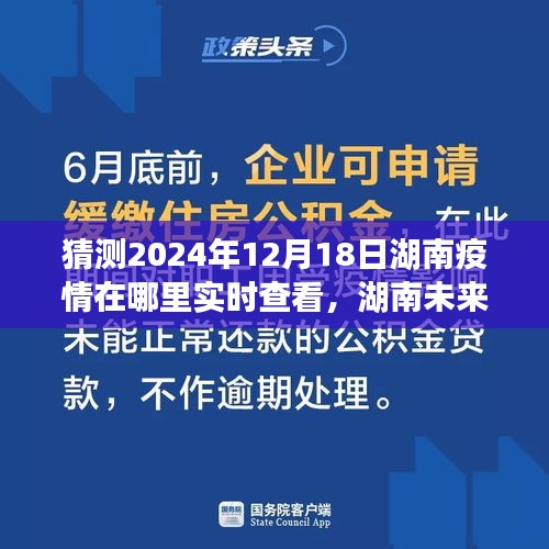 湖南未来疫情展望，探寻实时动态与深度解析（至2024年视角）