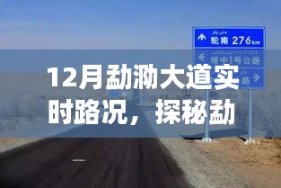 探秘勐泐大道深处，特色小店带你领略别样实时路况之旅