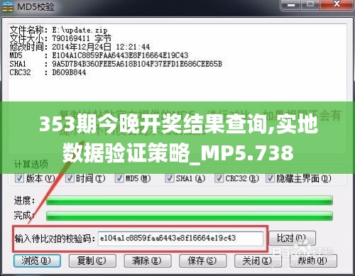 353期今晚开奖结果查询,实地数据验证策略_MP5.738