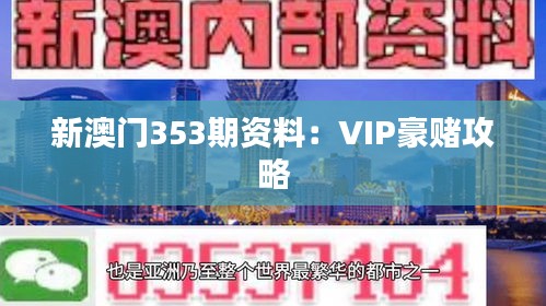 新澳门353期资料：VIP豪赌攻略