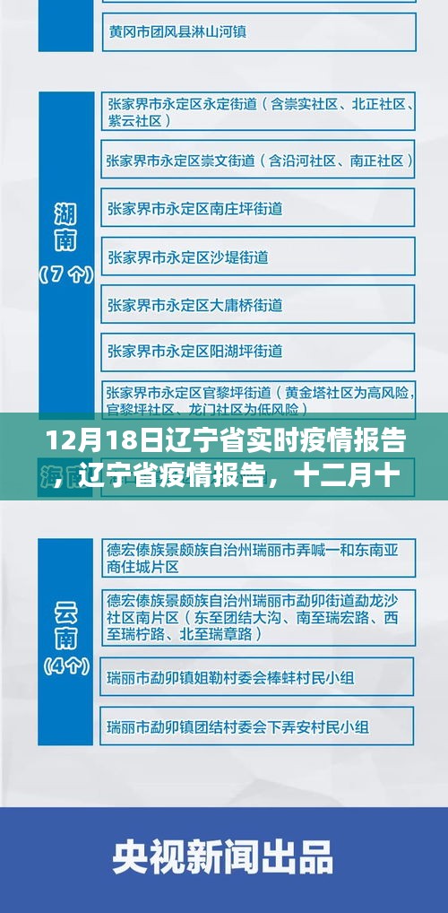 辽宁省疫情报告深度观察，十二月十八日实时疫情报告与深度思考