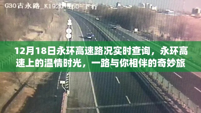 永环高速路况实时更新，温情时光下的奇妙旅程