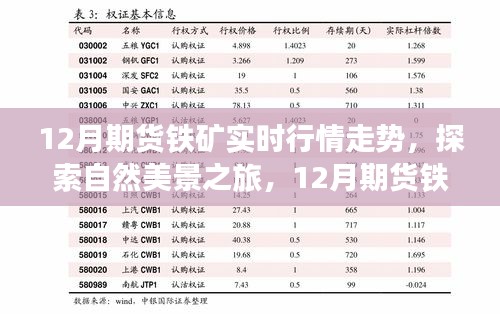 12月期货铁矿行情解析与宁静铁矿之旅的探索