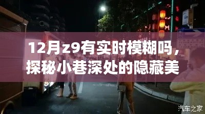 探秘小巷深处的隐藏美食天堂，揭秘12月Z9的神秘模糊魅力