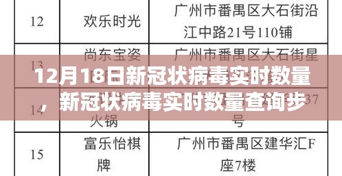 12月18日新冠状病毒实时数量查询指南，初学者与进阶用户适用