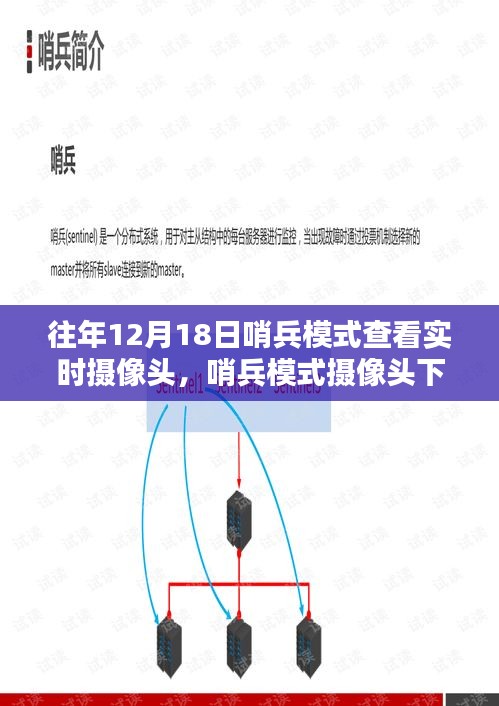 十二月十八日哨兵模式摄像头下的实时影像时代回顾，特殊日子的特殊视角