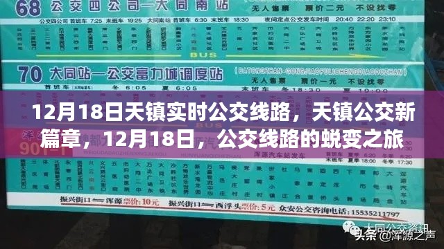 天镇公交新篇章，公交线路蜕变之旅，12月18日实时更新