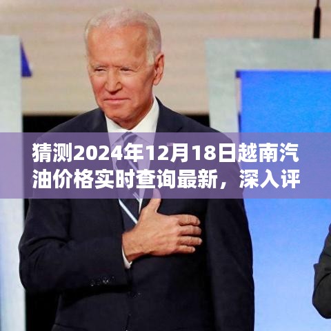 深入评测与预测，2024年越南汽油价格实时查询系统解析及最新动态