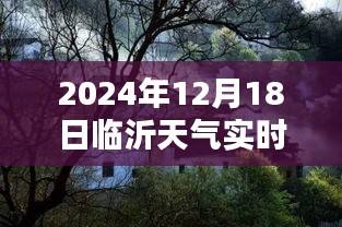 临沂特色小店揭秘，冬日小巷深处的天气秘密与别样风情实时播报下载