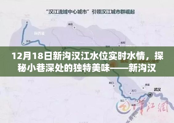 探秘新沟汉江水位变迁中的美食宝藏，水位实时报告与隐藏美味发现