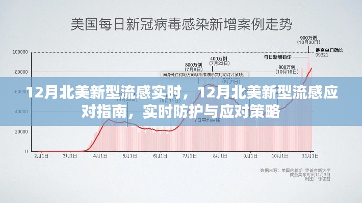 12月北美新型流感，实时防护与应对策略指南