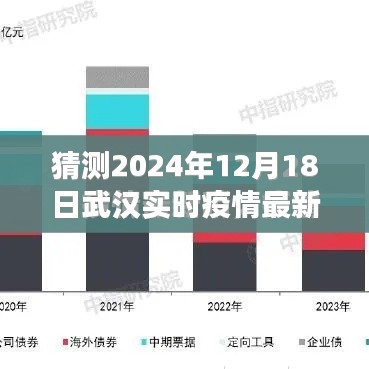 聚焦武汉疫情，实时通报最新动态与未来展望（预测至2024年12月）