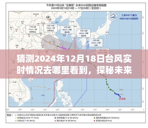 指尖掌控未来天气，揭秘2024年台风实时追踪与预测