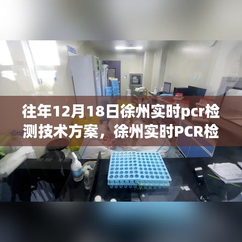 徐州实时PCR检测技术方案，历史背景与深远影响的探讨