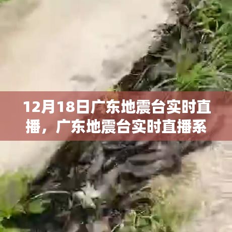 广东地震台实时直播系统，科技前沿守护生活，实时掌握地震动态